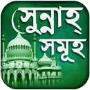 সুন্নাহ - সুন্নাত সমূহ (sunnah - suunat e nabi) APK