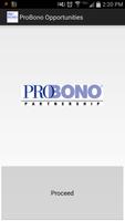 Poster Pro Bono Partnership Vol Opps