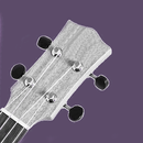 Ukulele Chords & Scales APK
