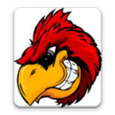 Bird APK