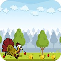 Super Adventure Turkey Run 海报