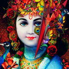 Krishna HD Wallpaper icône