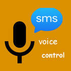 SMS Voice Control icône