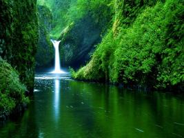 Nature Live Wallpaper Screenshot 1