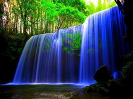 Nature Live Wallpaper Screenshot 2