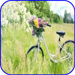 Vintage HD Wallpaper