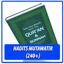 Hadits Mutawatir (300+ Hadits) APK