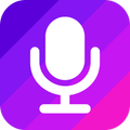 Easy Voice Recorder (Secret)