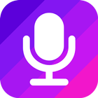 Easy Voice Recorder (Secret) icône