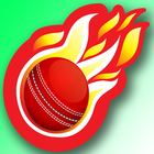 Live Cricket Scrore : Live Updates of All Sports icône