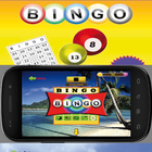 Bingo أيقونة