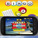 Bingo APK