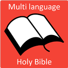 NIV Holy Bible  free ML ikona