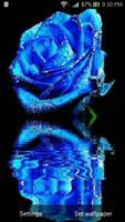 Rose Live Wallpaper स्क्रीनशॉट 2