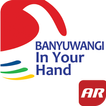 Banyuwangi In Your Hand