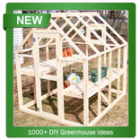 Idea Rumah Hijau DIY 1000+