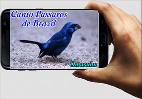 O Som Aves do Brazil Mp3 स्क्रीनशॉट 1