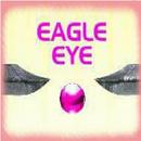 Eagle Eye APK