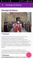 Semana Santa Guadalajara screenshot 1