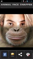 Animals Face Swaper screenshot 1
