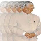 A P J Abdul Kalam ikon