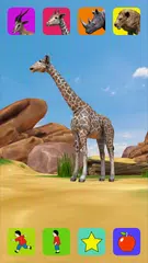 download Lion, Virtual Pet APK