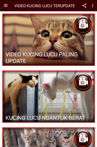 Video Kucing Lucu Paling Update For Android Apk Download