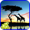 Wild Nature Jigsaw Puzzles