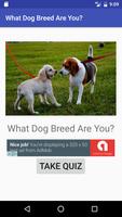 Poster What Dog Breed Are You?