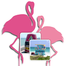 Florida Memory Spiel APK
