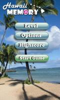 Hawaii Memory Game ポスター