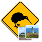 New Zealand Memory Game icône