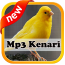 Kumpulan Suara Burung Kenari APK