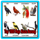 1000 top canto dos pássaros rei icône