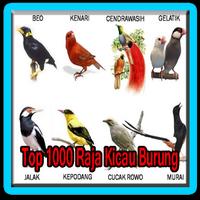 1000 top canto dos pássaros rei 海報