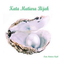 Kumpulan Kata Mutiara Bijak اسکرین شاٹ 3