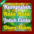Kumpulan Kata Kata Jatuh Cinta Diam Diam