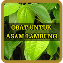 Kumpulan Obat Asam Lambung Terampuh APK