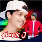 full collection of Harris J songs-icoon