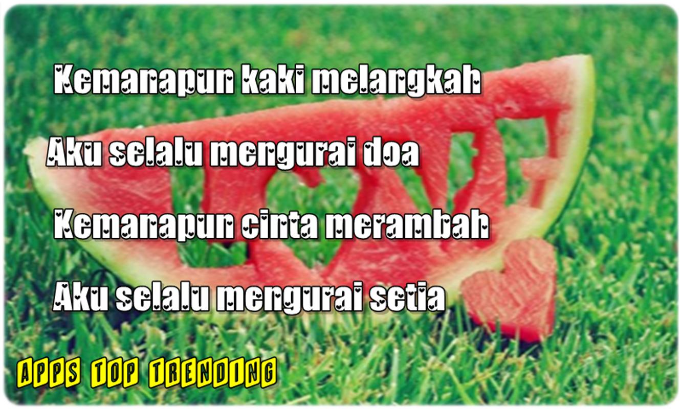 Kumpulan Pantun Cinta Romantis For Android APK Download