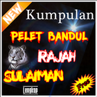 Kumpulan Pelet BANDUL RAJAH SULAIMAN icono