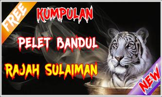 Kumpulan Pelet BANDUL RAJAH SULAIMAN captura de pantalla 2
