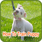 How To Train Puppy 아이콘