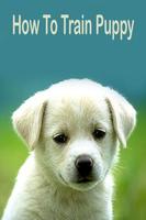 How To Train Puppy โปสเตอร์