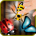 Insect Crush