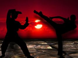 Kung Fu Training & skills captura de pantalla 1