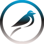 Flaunt HD - 4k Wallpapers