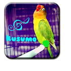 Lovebird Kusumo Trick icône
