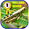 Masteran Lovebird Walang Kecek APK