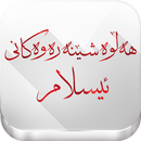 هەڵوەشێنەرەوەکانی ئیسلام-APK